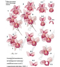 Decomania 3D Paper - Pink Orchid - Cod.3D012