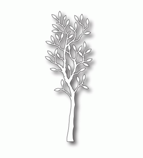 Die-Small Alder Tree
