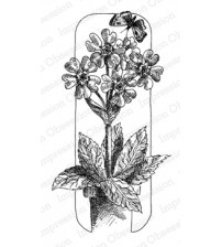 IO Stamps - PrimRose & Butterfly