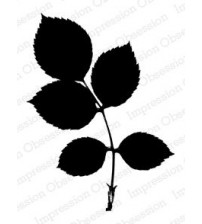 IO Stamps - Solid Rose Leaf