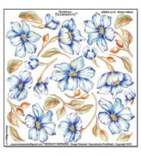 Sospeso Printed Plastic Sheet- Rosa Virgo