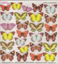 Sospeso Printed Plastic sheet - Little Butterfly 