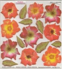 Sospeso Printed Plastic Sheet - Red Rose