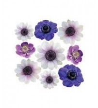 Sospeso Printed Plastic Sheet -  Anemone 