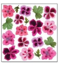 Sospeso Printed Plastic Sheet-Geranium 