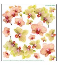 Sospeso Printed Plastic Sheet-Green Orchid 