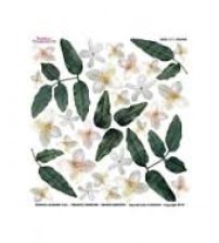 Sospeso Printed Plastic Sheet -Jasmine