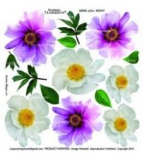 Sospeso Printed Plastic Sheet -Peony