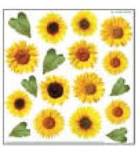 Sospeso Printed Plastic sheet - Sunflower 